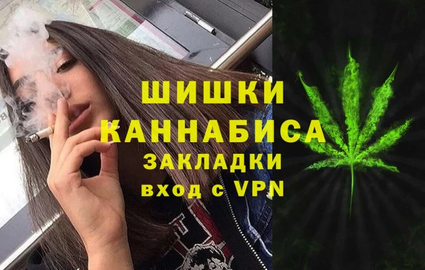 индика Балабаново