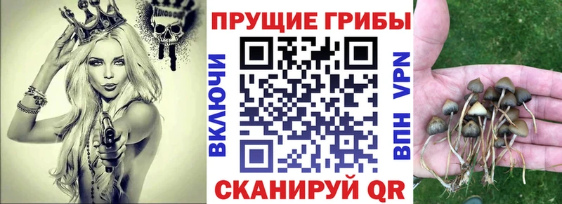 наркошоп  Кубинка  Галлюциногенные грибы прущие грибы 